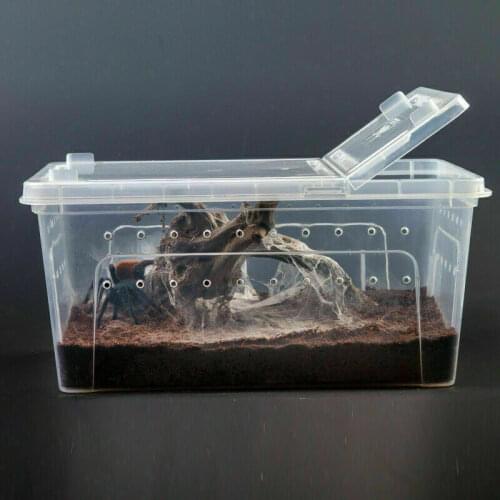 Large Reptiles Box with Feeding Bowl Transparent Plastic Insect Pet Terrarium Transport Breeding Food Feed Box Pet Supplies