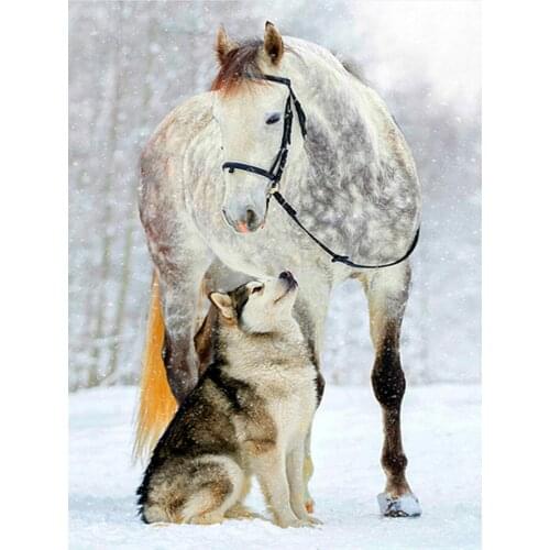 Horse and wolf Animals Needlework Cross stitch sets 14CT Unprinted Embroidery kits Arts Cross-Stitching,DIY Handmade home Decor