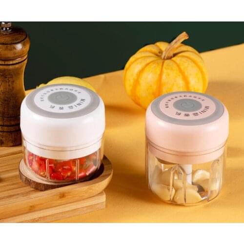 250ml Portable Mini Electric Garlic Masher Vegetable Chopper Grinder Stainless Steel USB Charging For Grind Garlic Pepper Meat