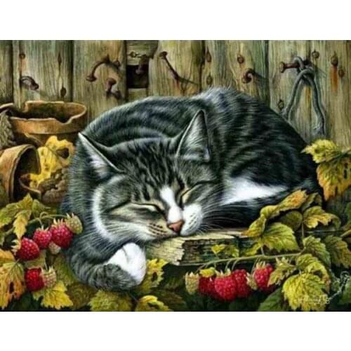 Diamond picture,cross stitch cat,5d rhinestone art,5d diamond,diamond painting picture