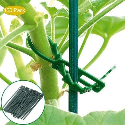 50/100/200Pcs Reusable Plant Vines Fixed Lashing Hook Adjustable Agricultural Greenhouse Vegetable Garden Plastic Cable Ties CSV
