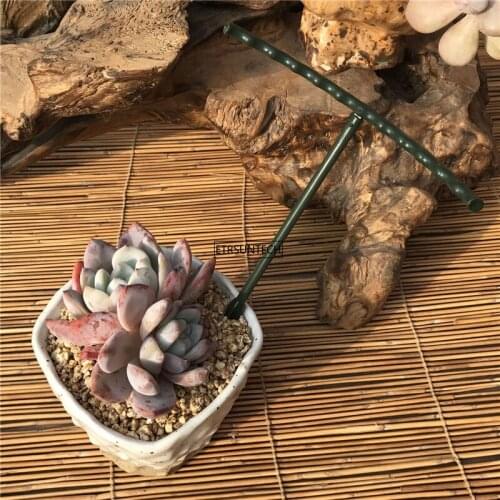50Set DIY Plant Support Frame Artificial Mini Climbing Trellis Flower Stand Garden Tool Plastic U Shape Plant Flower Support