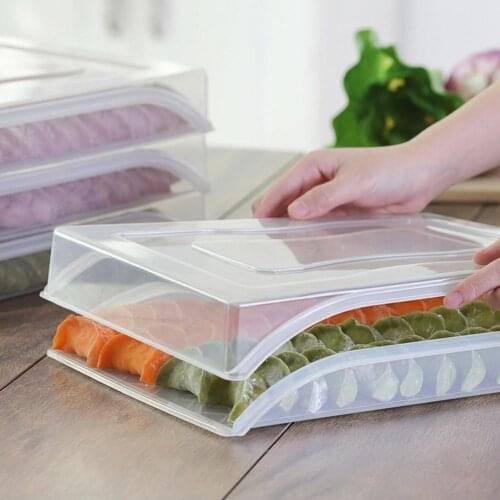 Kitchen-Food Storage Container Ravioli Container Egg Fish Seafood Dumpling Storage Box Microwave Refrigerator Food Container