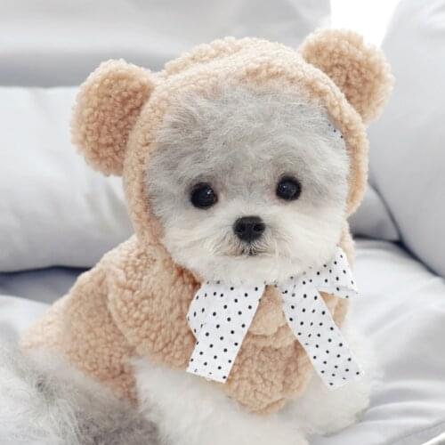 Puppy Padded Pet Cotton Coat Bichon Hiromi Two-legged Sweater Pure Color Plush Autumn and Winter Dog Clothes With Hat