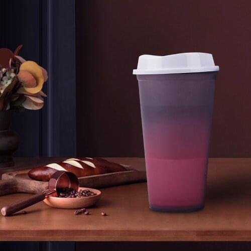 PP Material Water Bottle Multicolor Temperature Color Changing Cold Cup Tumbler Creative Gift Bulk Drinkware Bar Supplies