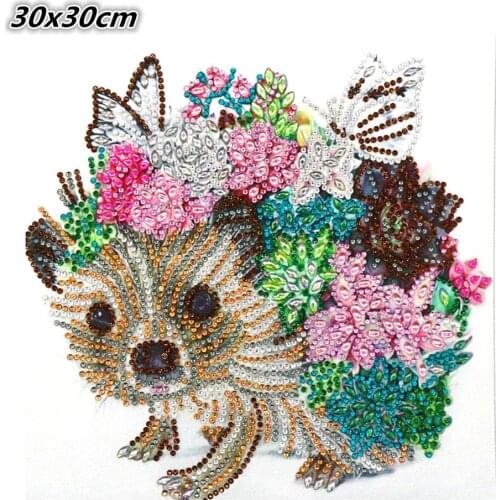 5d DIY diamond embroidered Hedgehog cactus, special shape for diamond painting. Shaped diamond flower home decoration gift 30x30