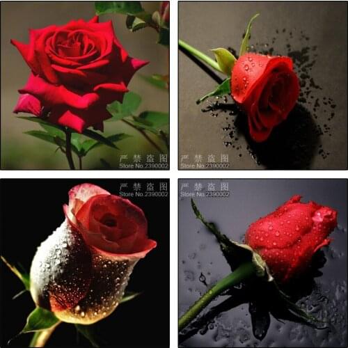 Red Rose Diamond Embroidery Flower 5D Diamond Cross Stitch Posters Full Diamond Sets Unfinished Decorative Diy Diamond Painting