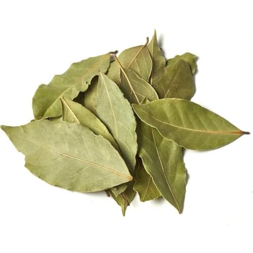 High quality leave of Daphne - Laurus nobilis l. leaf and powder 100 gr-400 gr free shipping