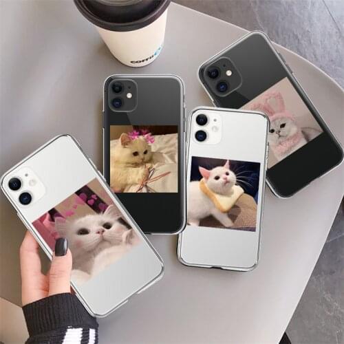 Cute Funny Cat Pattern Phone Case For iPhone 11 Pro Max XR XS Max X 7 8 Plus SE 2020 Cartoon Transparent Shockproof Back Cover