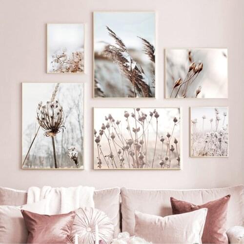 And Prints Wall Pictures For Living Room Decor Autumn Grass Kapok Dandelion Reed Flower Wall Art Canvas Painting Nordic Posters