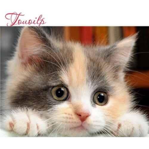 5D Diamond Painting Full Square Cat Diamond Embroidery Animal Mosaic Cross Stitch Kit Pictures Beads Art Home Decor