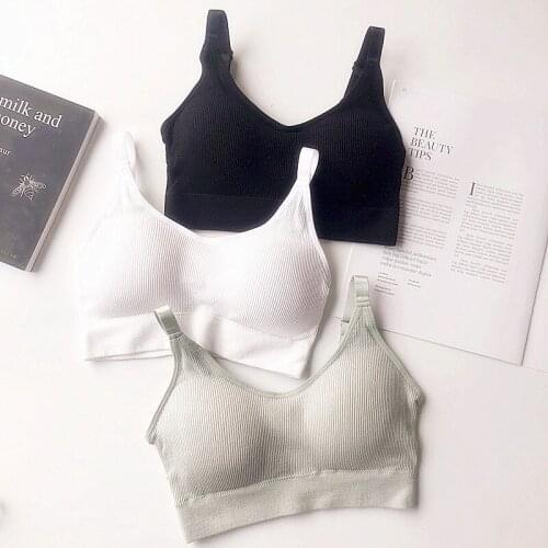 Hot sale new lingerie thread cotton seamless without steel ring comfortable bra breathable girl sports underwear