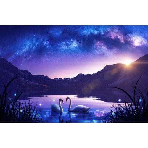 JMINE Div 5D Mountain love Swan River Full Diamond Painting cross stitch kits art High Quality Scenic 3D paint by diamonds