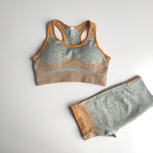 Summer Women Seamless yoga set Fitness Sports Suits Shockproof Gathered Running Yoga Bra High Waist shorts Workout Running Pants