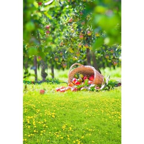 TR Photography Background Apple Orchard Garden Lawn Princess Girl Studio Props Photo Backdrops Backgrounds