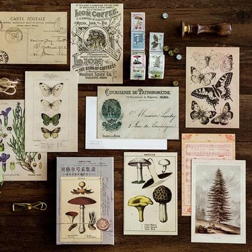 30 pcs/set Vintage Ancient Forest Animals Plants Specimen Greeting Cards Paper Retro Style Writing Gifts Postcards Stationery