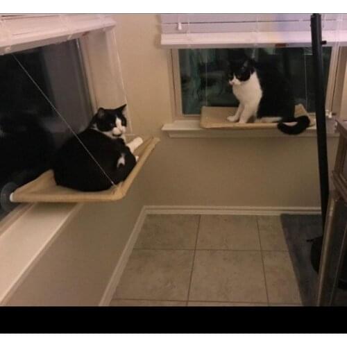 Pet Cat Hammock, Suction Cup Can Be Placed At Will Cat Nest, Cute Cat Hammock Can Bear 20KG Weight, Pet Sun Chair