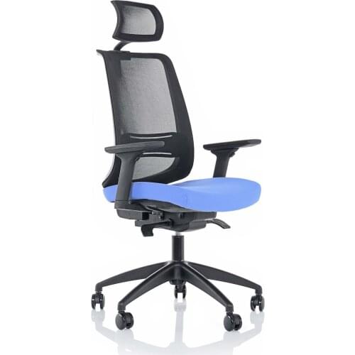 Space Office Gold Mesh Executive Chair-Plastic-Blue