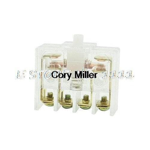 DPST Button Actuator Clear Shell Limit Switch 220V/3A JW2-11