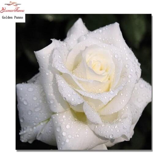 Full drill 5D DIY Diamond Painting Dew White Rose Embroidery Cross Stitch Rhinestone Mosaic Painting Home art wall decor