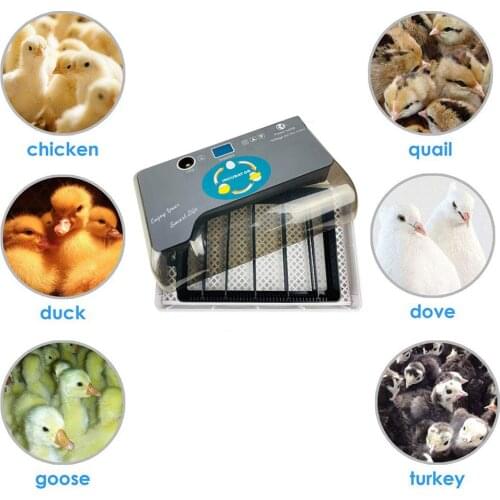 Egg Incubator Digital Fully Automatic Poultry Hatcher For Chickens Ducks Goose Birds Quails Eggs Brooder Farm Hatchery Machine