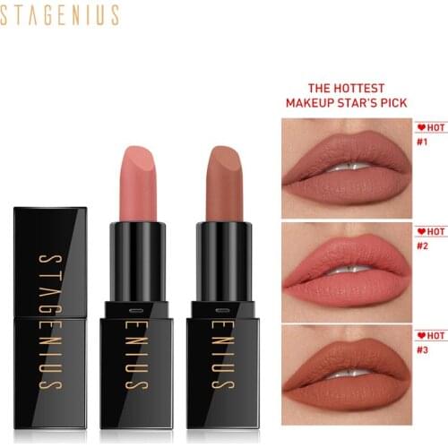 6 Colors Velvet Matte Lipstick Makeup Long Lasting Waterproof Cosmetics Pigment Lipstick Cosmetics Beauty For Women TSLM1