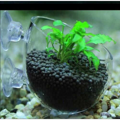 Fish Tank Mini Crystal Glass Pot New Aquaculture Cup Decoration Polka Water Potted Aquatic Planting Cylinder Cup Fishtank Decor
