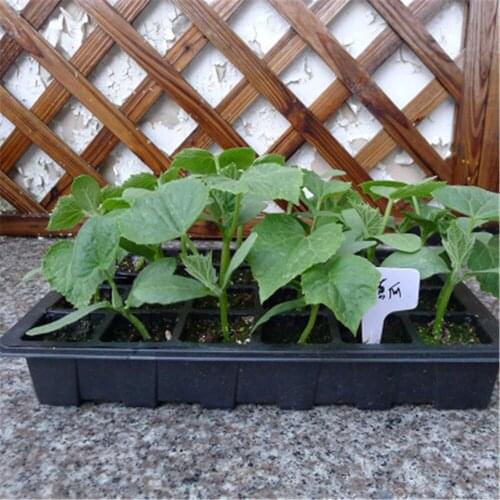 2PCS Nursery Pots with Hole Moisturize Plant Seedling Pot Breathable Seedling Tray Transplant Flower Seed Growing Plate 24-Cell