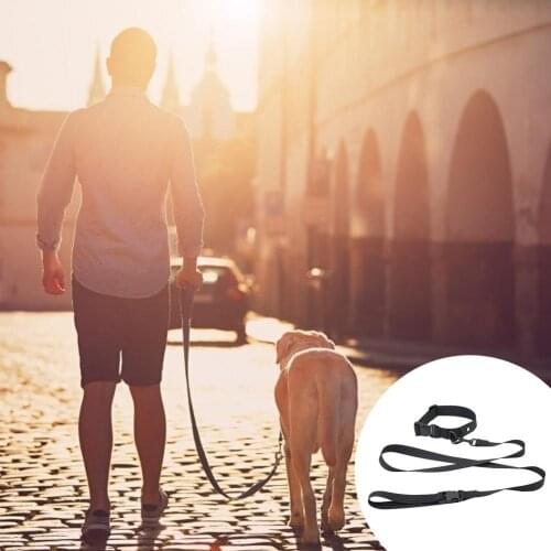 Dog Collar With Leash Set Pet Collar With Tracker Storage Pocket Dog Harness Dog Leash Necklaces Pendants Bulldog Correa Perro