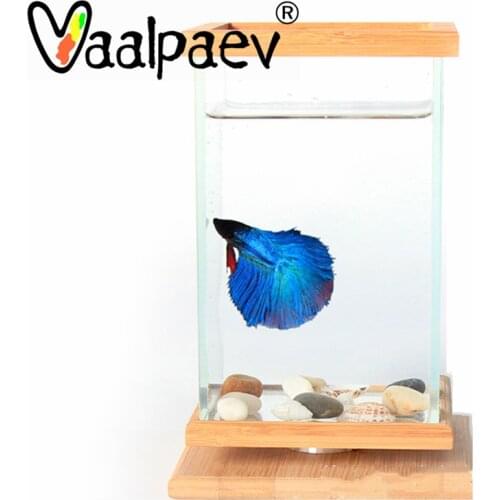 Spinning Fish Tank Super White Glass Aquarium For Watching Bettafish Killifish Water Micro Plants Landscape Creative DIY Toys