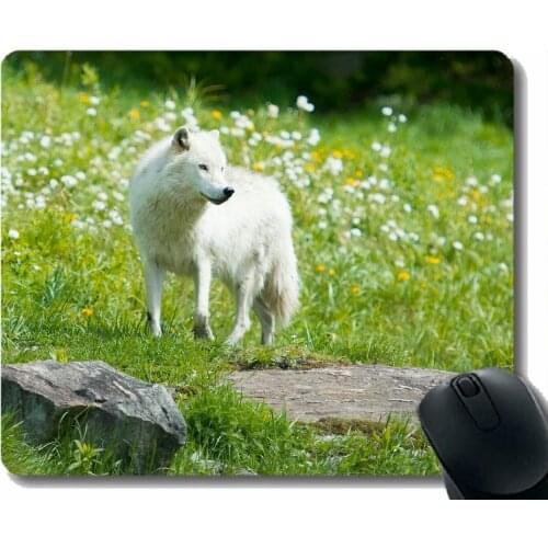 Rectangle Mouse Pad,Animal wolf thigh Mousepad Nonslip Rubber Backing