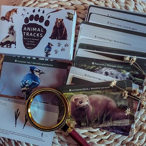 Montessori Baby Animal Track Flash Cards Footprint Learning Educational Sensory Toys For Children Juguetes Montessori B2544H