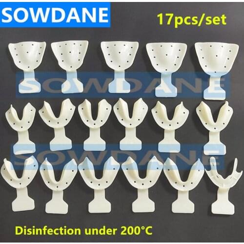 17pcs/set Dental Edentulous Jaw Trays Full/Complete Denture Teeth Repair Kit Dental tooth false Accessories Tool