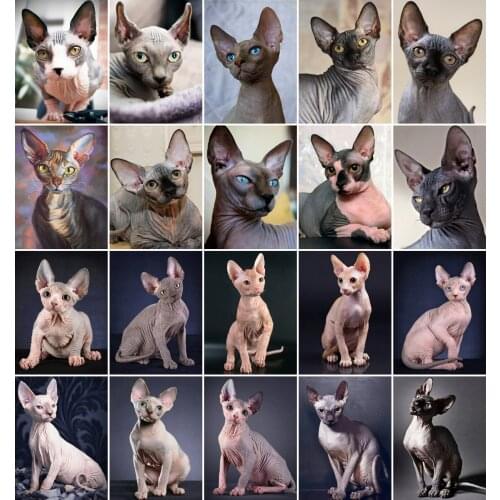 AZQSD DIY Painting By Number Couple Canvas Kits Abstract Art Acrylic Paint Unframe Pictures By Numbers Portrait Handmade Gift