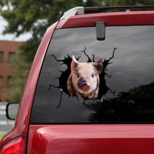 3D Funny Pig Crack Car Sticker Cats Lover Cartoon Car Styling Wall Home Glass Window Door Laptop Truck Vinyl Decals