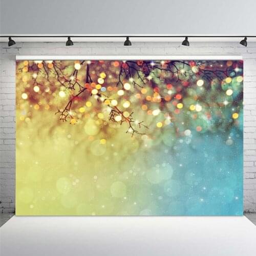 MEHOFOTO Thin Vinyl Photography Computer Printed Children Photography Backdrops Christmas Theme Background for Photo Studio