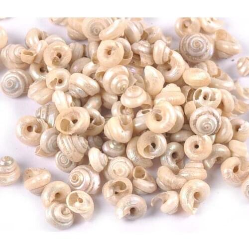 100Pcs/lot Natural Mini Spiral Seashells For DIY Glass Bottle Fish Tank Handmade Crafts Seashells Home Decoration Accessories