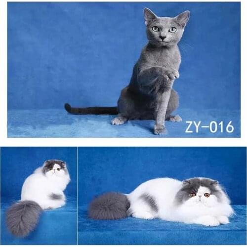 DAWNKNOW Pet Cat Photography Background Backdrop Uniquely Blue Painting Photocall Muslin Pro Tie-Dyed Shoot Photo Studio 2x3M