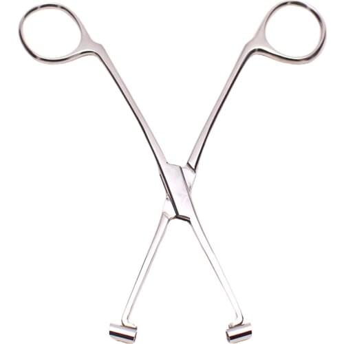 6 inch Professional Stainless Steel Septum Forceps Body Piercing Clamp