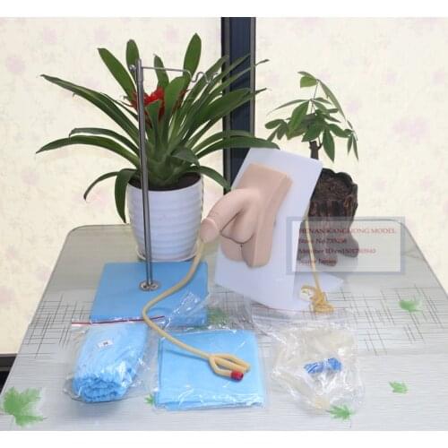 ISO Certification Male Urethral Catheterization Training Model,Urethral Catheterization Practice Model