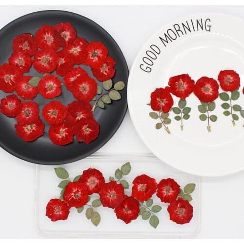 Rose Fire Real Flower Dry Flower Embossing Plant Specimen DIY Candle Making Decoration Home Party Supplies Dried Flowers