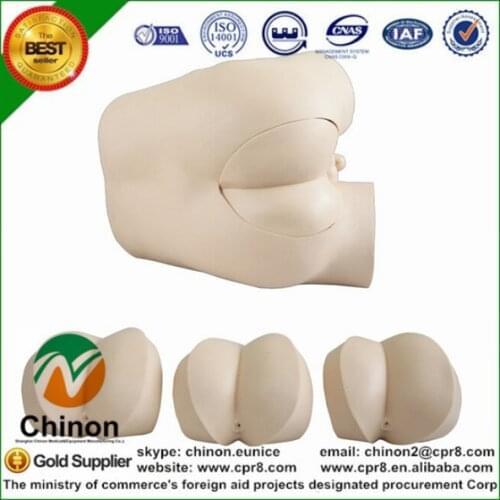 Chinon Advanced Rectum Check Simulator Rectal Touch Examination Model Medical Science Student Teaching Training Tools BIX-LV39