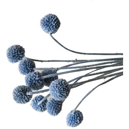 20pcs christmas decor colorful billy balls natural dried eternell craspedia bouquets flower for home wedding decoration