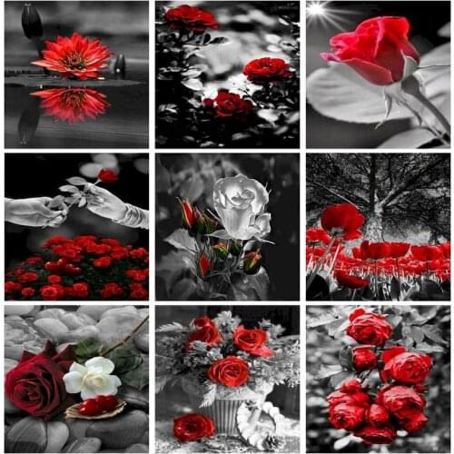 SDOYUNO Oil Painting By Numbers Flowers 60x75cm DIY Paint By Numbers On Canvas Rose Frameless Handpaint Home Decor Unique Gift