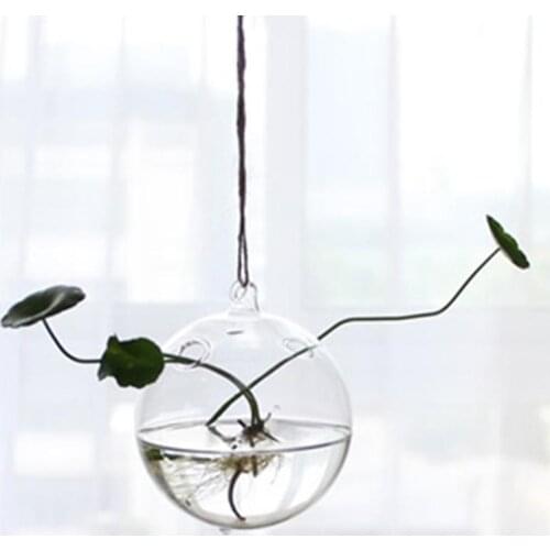 Hanging Transparent Glass Globe Plant Terrariums Succulents Moss Miniature Garden Planters Home Decor Gifts