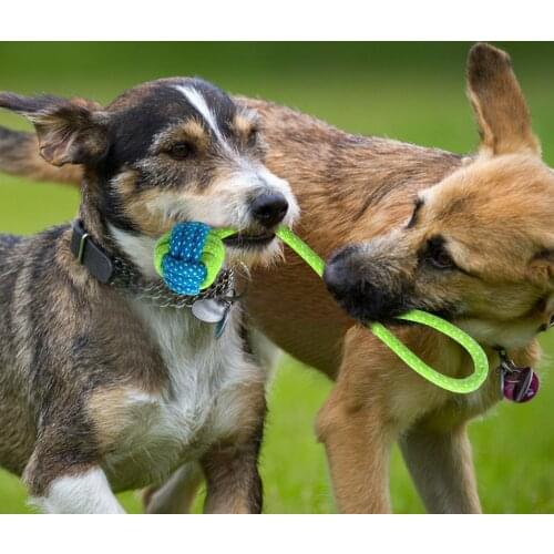 Pet Grinding Funny Tool Dog Rope Cotton Rope Toy Knot Puppy Chew Teething Toys Chihuahua Cleaning Cotton Bite Resistant E