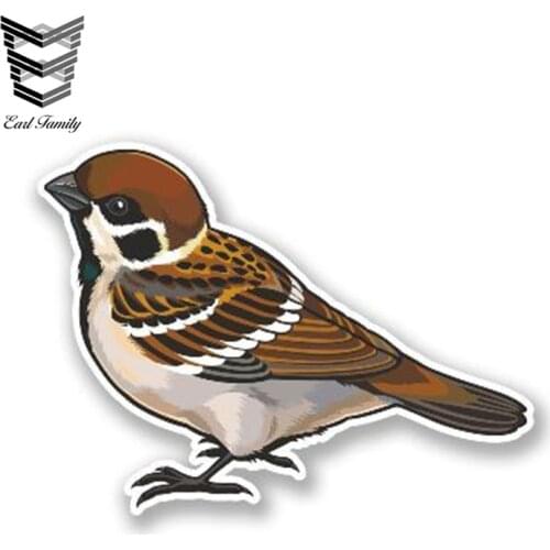 EARLFAMILY 13cm x 9cm Funny Small Brown Bird Vinyl Decal Laptop Motorbike Car Sticker for Truck Van Vehicle Glass Window Decals