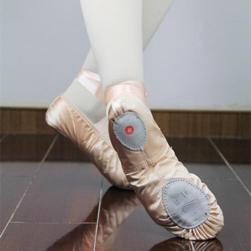 Adult Split Sole Soft Ballet Dance Shoes Practicing Danza Women Pink and Flesh Sapatilha