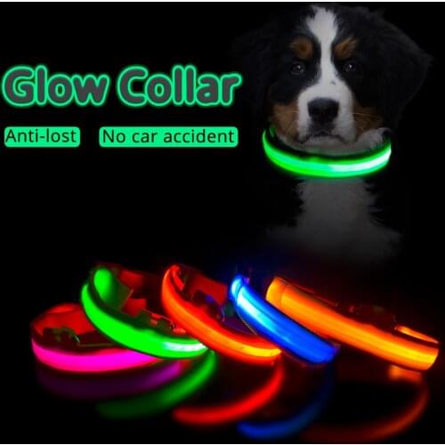 USB Charging Led Dog Collar Anti-Lost/Avoid Car Accident Collar For Dogs Puppies Dog Collars Leads LED Supplies Pet Products