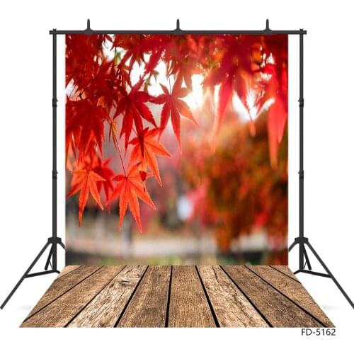 Maple Leaves Bokeh Wooden Plank Photo Backdrop Custom Photography Background for Baby Children Portrait Pets Photoshoot Props